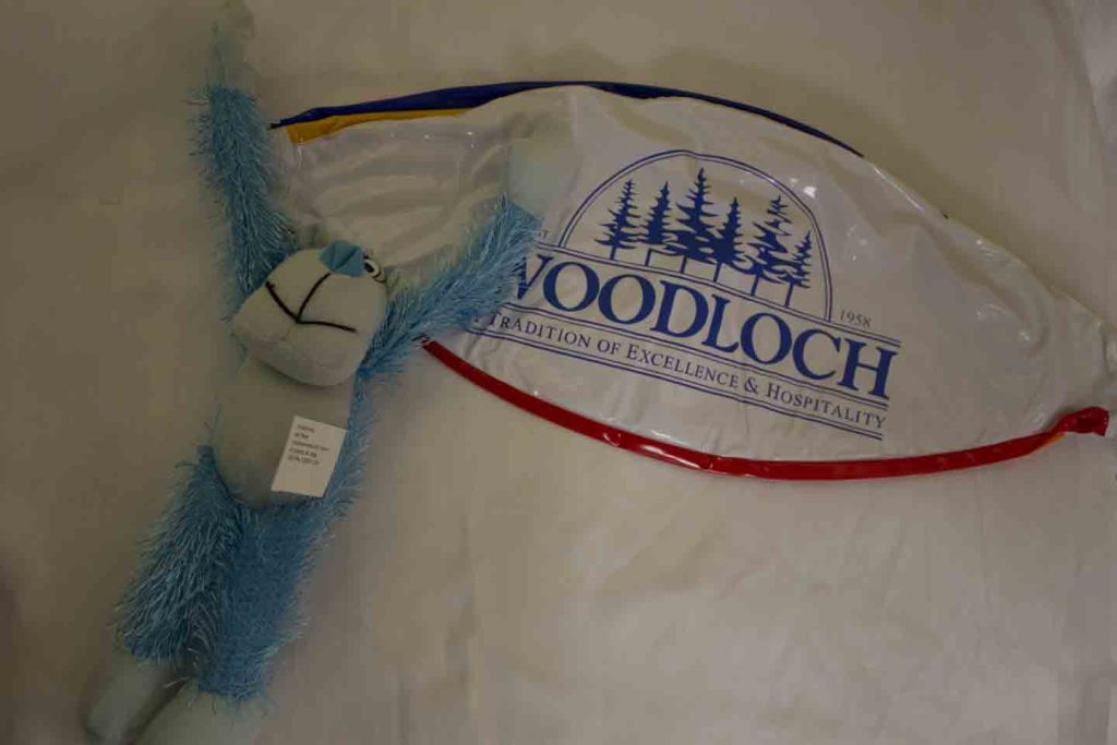 Woodloch Carnival Prizes